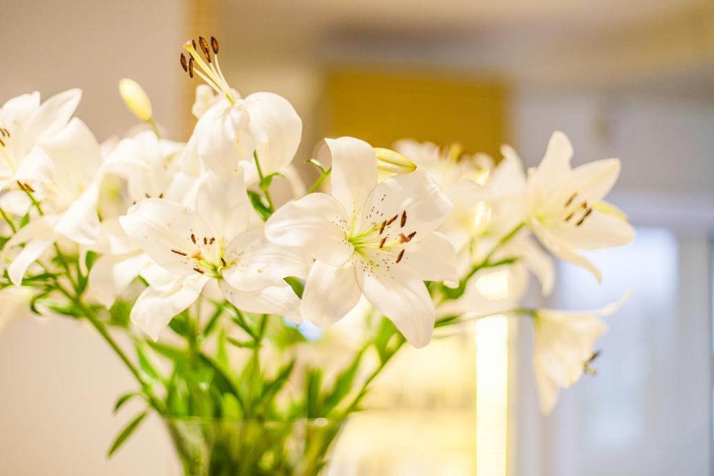 Hotel Court Wellness&Spa Kędzierzyn-Koźle Eksteriør bilde